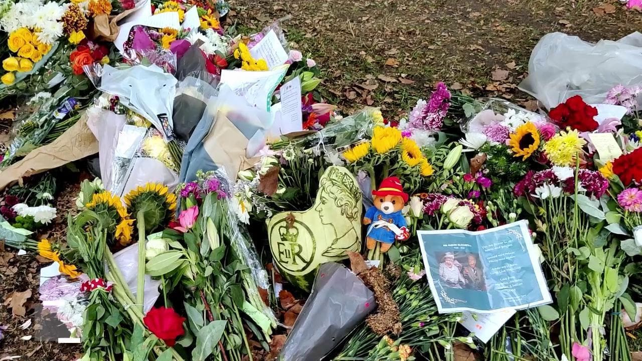 Via tutta la plastica dai fiori per la regina: a Londra il lutto che rispetta l'ambiente