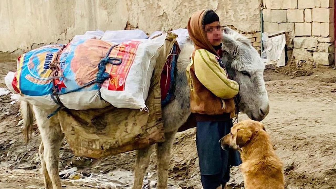 A Kabul, dove l'inverno ha portato la fame