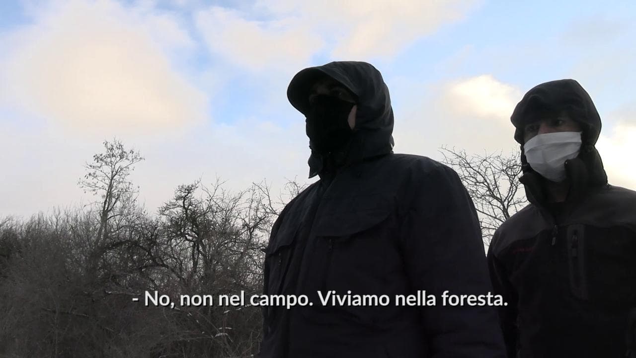 Bosnia, i migranti che vivono nella neve attorno al campo profughi di Lipa: "In viaggio da 5 anni, e là dentro si vive anche peggio"