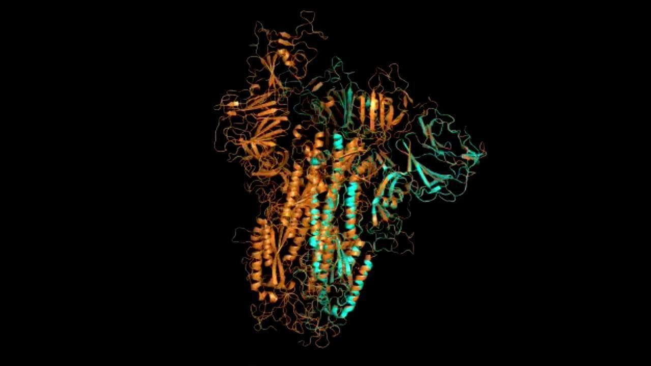 Coronavirus, tra i cacciatori di mutazioni del Covid: "Ecco perché la variante inglese non deve spaventare"