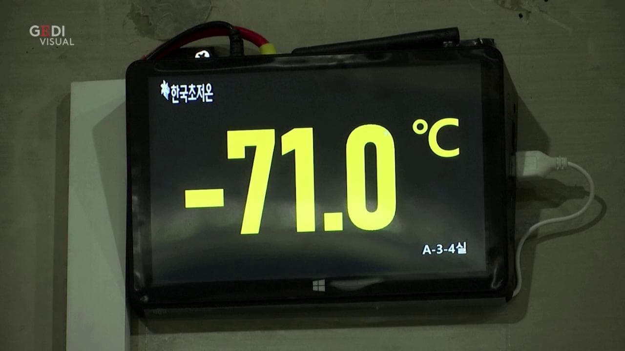 Corea del Sud, un magazzino hi tech per il tonno potrebbe conservare il vaccino Pfizer