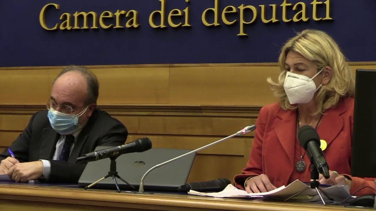 Caso Regeni, la legale della famiglia: "Chi ha ucciso Giulio e ha depistato, lavora per il regime egiziano"