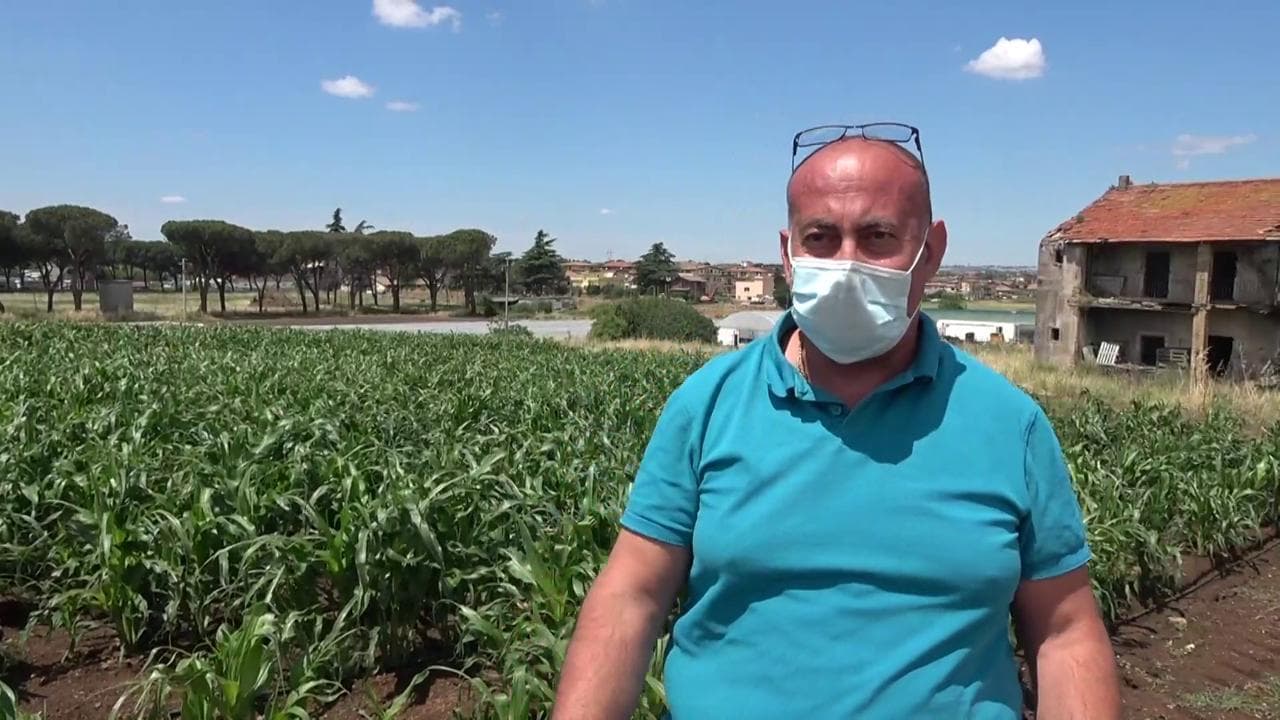 Da imprenditore tessile a bracciante agricolo: "Ho chiuso per il Covid, ora ho una nuova vita"