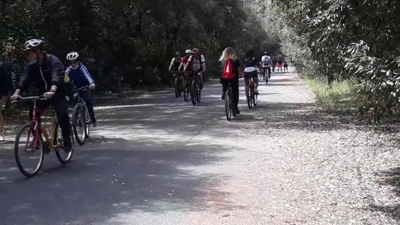 Fase 2, spiagge chiuse a Ostia: la gente a passeggio in pineta