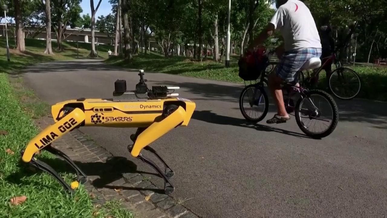 Singapore, ecco il robot "distanziatore": gira nei parchi per impedire gli assembramenti