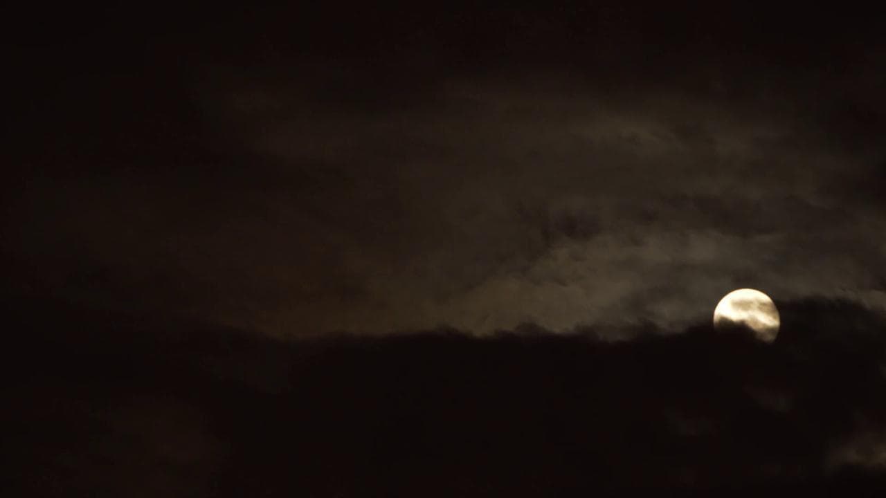 La quarantena in sei telefonate e una finestra: il cortometraggio Test Covid-19 Notte