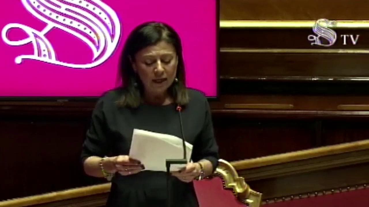 Coronavirus, De Micheli: "Mai mancata solidarietà a migranti". De Falco: "Non avete cambiato decreti sicurezza"