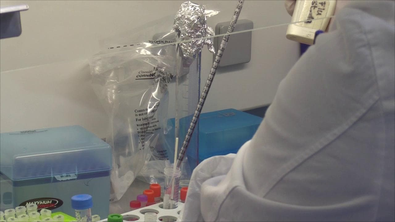 Coronavirus, la storia di Paolo: "Mio padre è morto e io ero positivo. Ma ho dovuto lottare per fare il tampone"