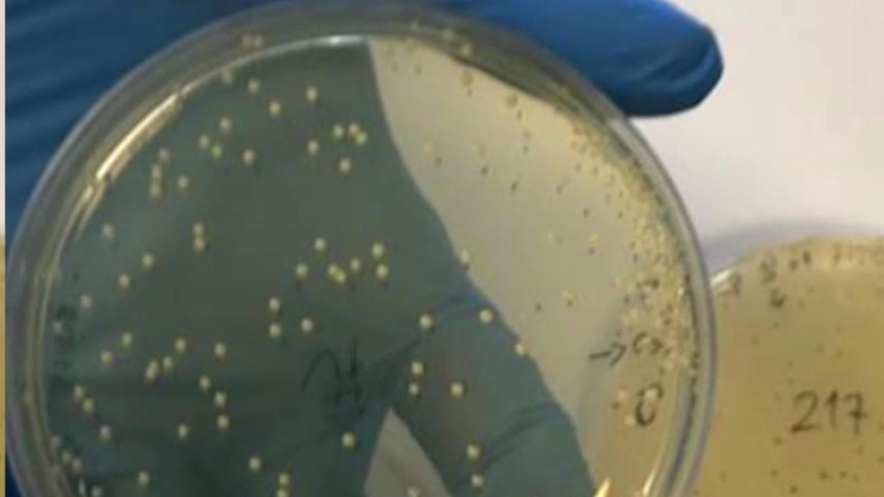 Coronavirus, a Catania il primo laboratorio per testare l'efficacia dei tessuti delle mascherine