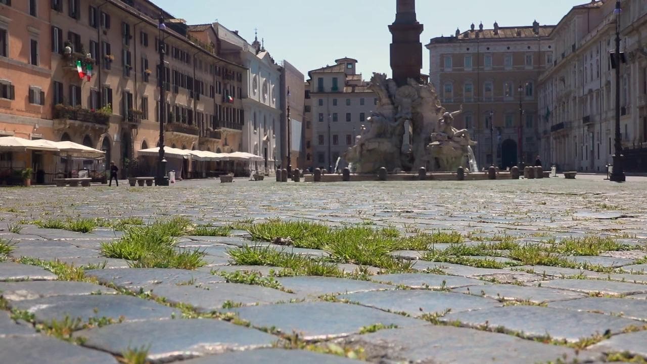 Coronavirus, niente turisti in piazza Navona: tra i sampietrini cresce l'erba