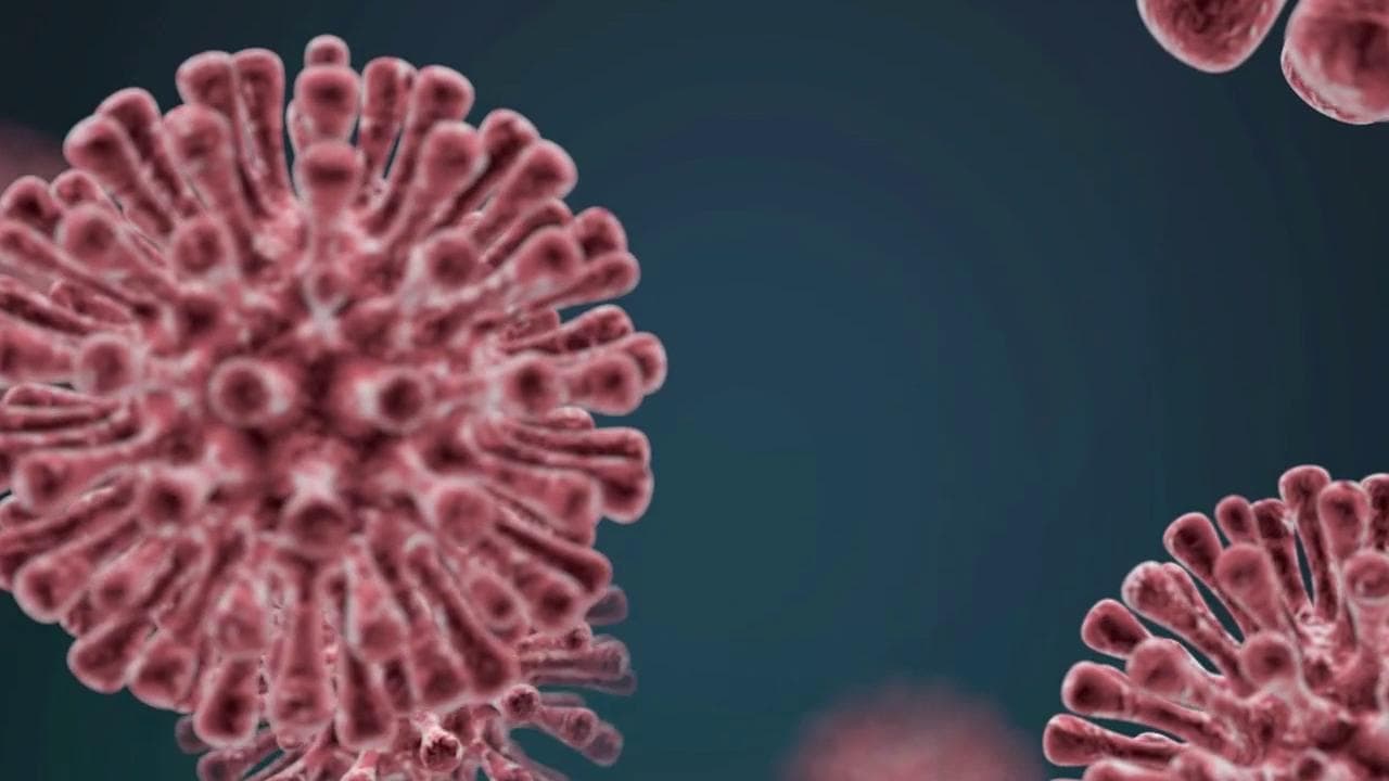 Coronavirus, in arrivo i test sierologici: "Se gli anticorpi ci proteggeranno potremo tornare a lavorare"