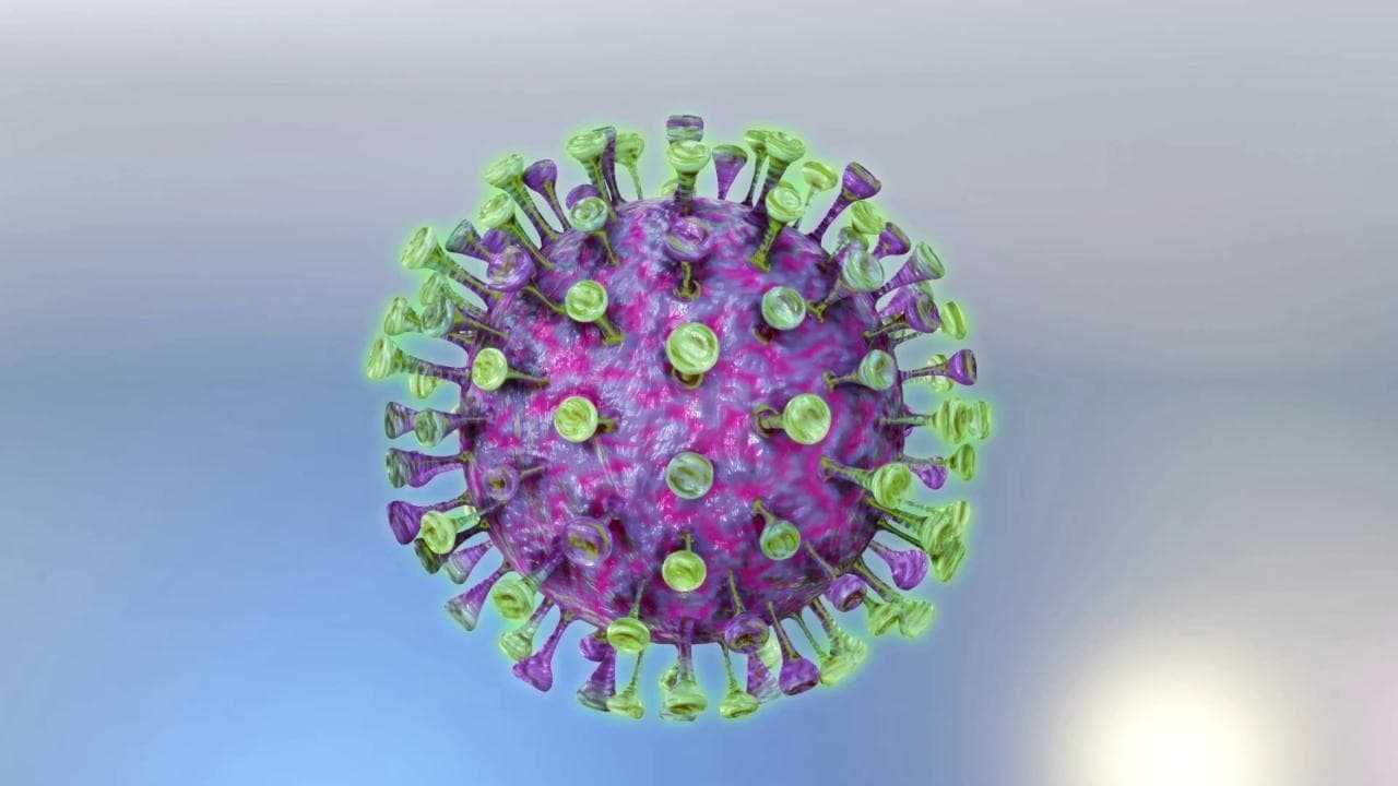 Coronavirus, l'incastro è sempre perfetto: ecco perché non è stato creato in laboratorio