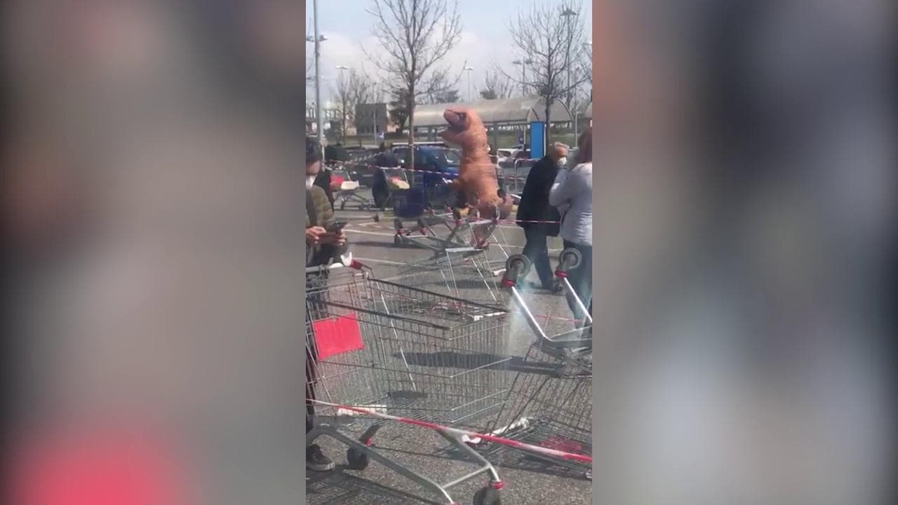 Coronavirus, Pisa: in fila al supermercato spunta un dinosauro