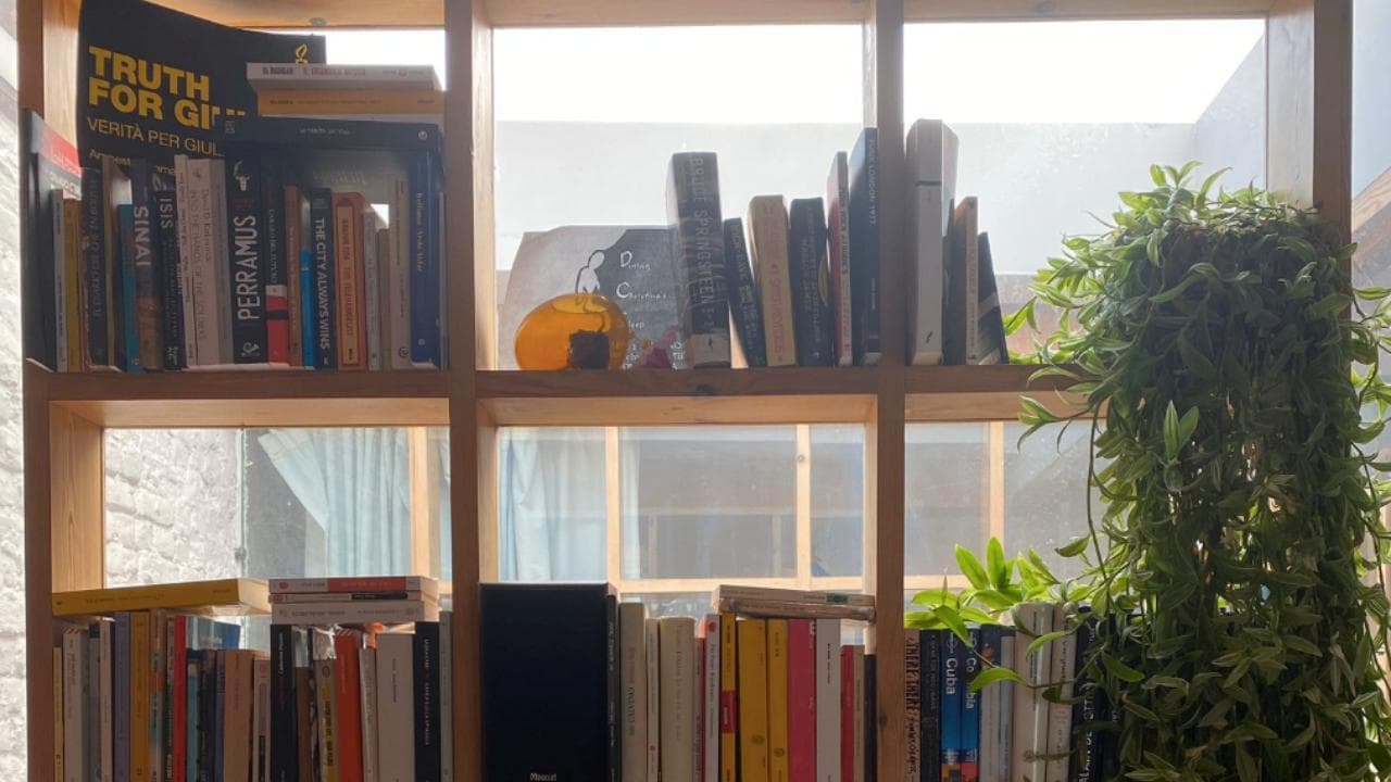 Libri ordinati per autore, colore o messi a caso: così gli italiani riorganizzano gli scaffali