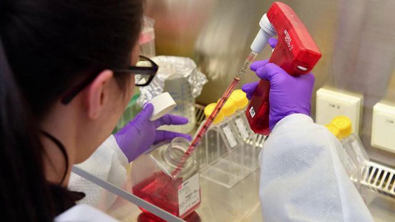 Coronavirus, il messaggio della donna di Fiumicino: "Per correttezza vi avverto: sono positiva"