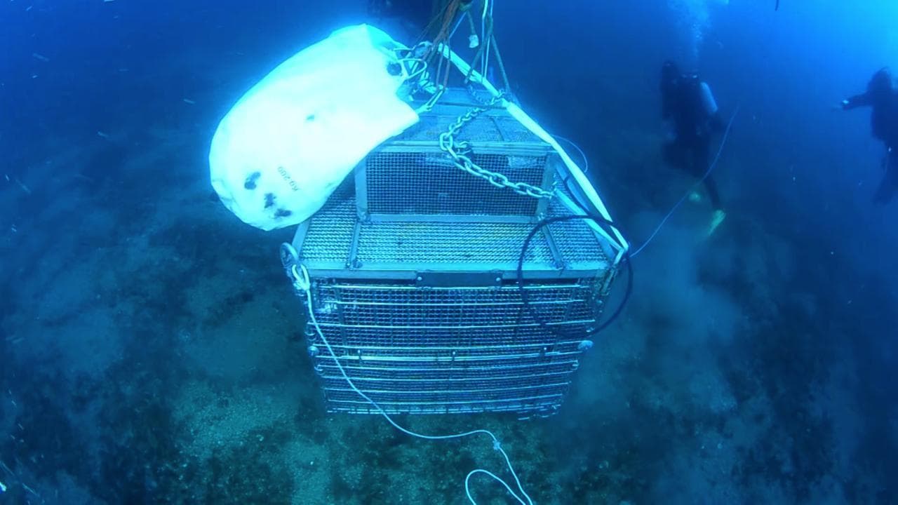 Scendere in cantina 40 metri sotto il mare