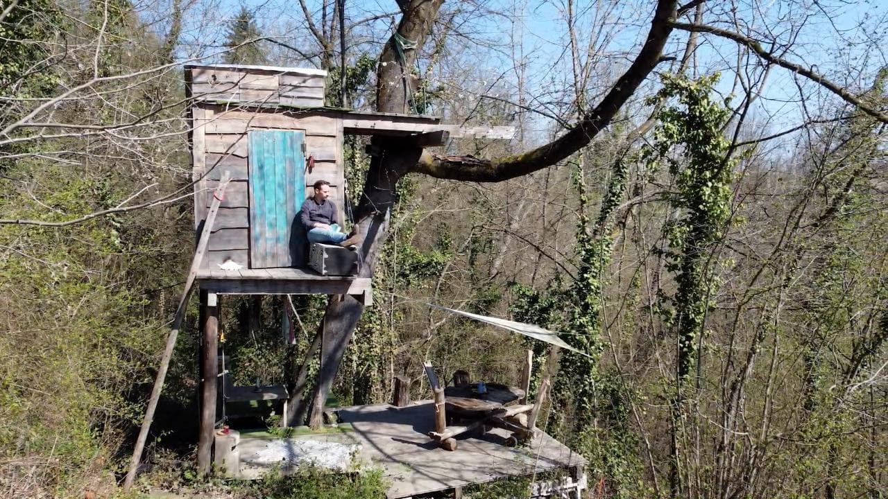 Il barone rampante che vive su un ciliegio