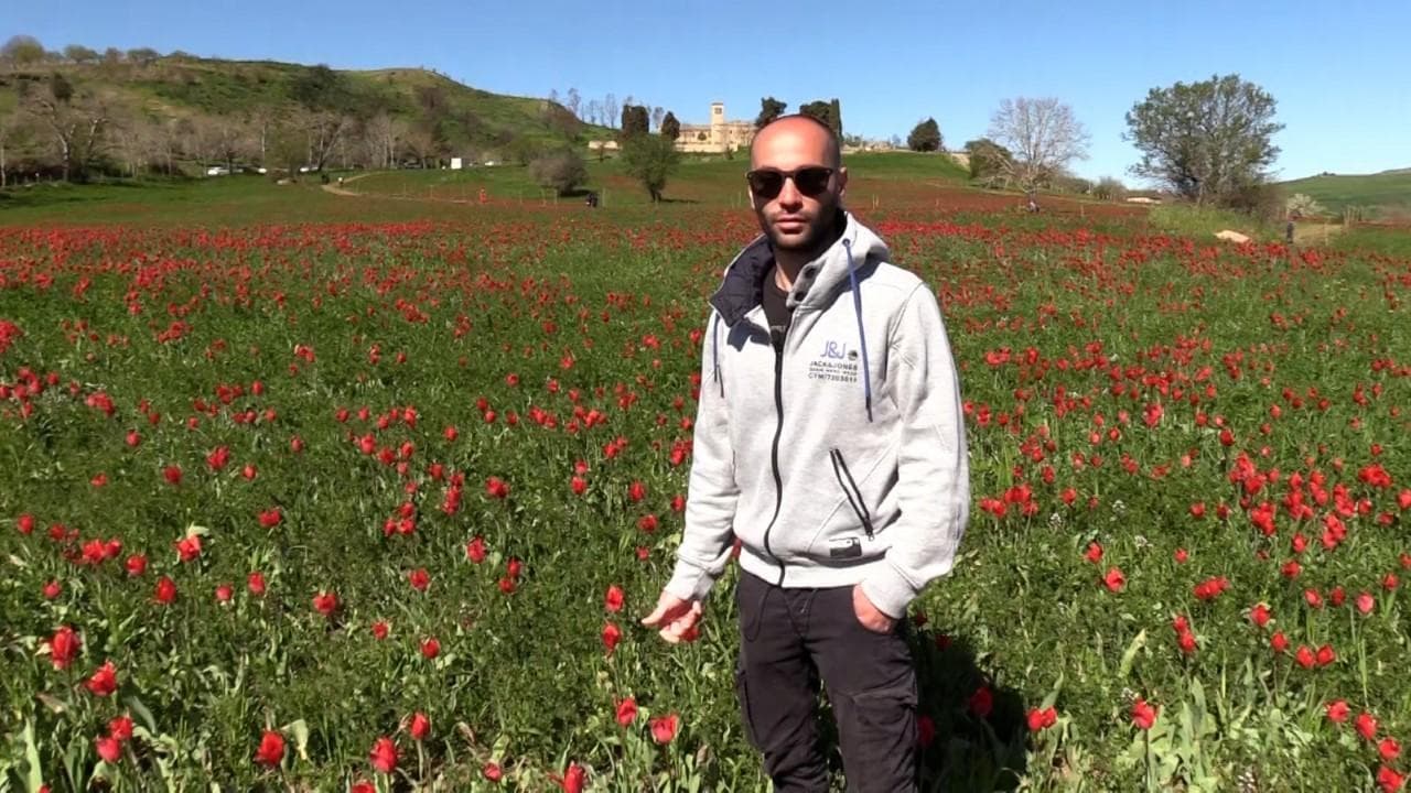 In Sicilia come in Olanda, i custodi dei tulipani