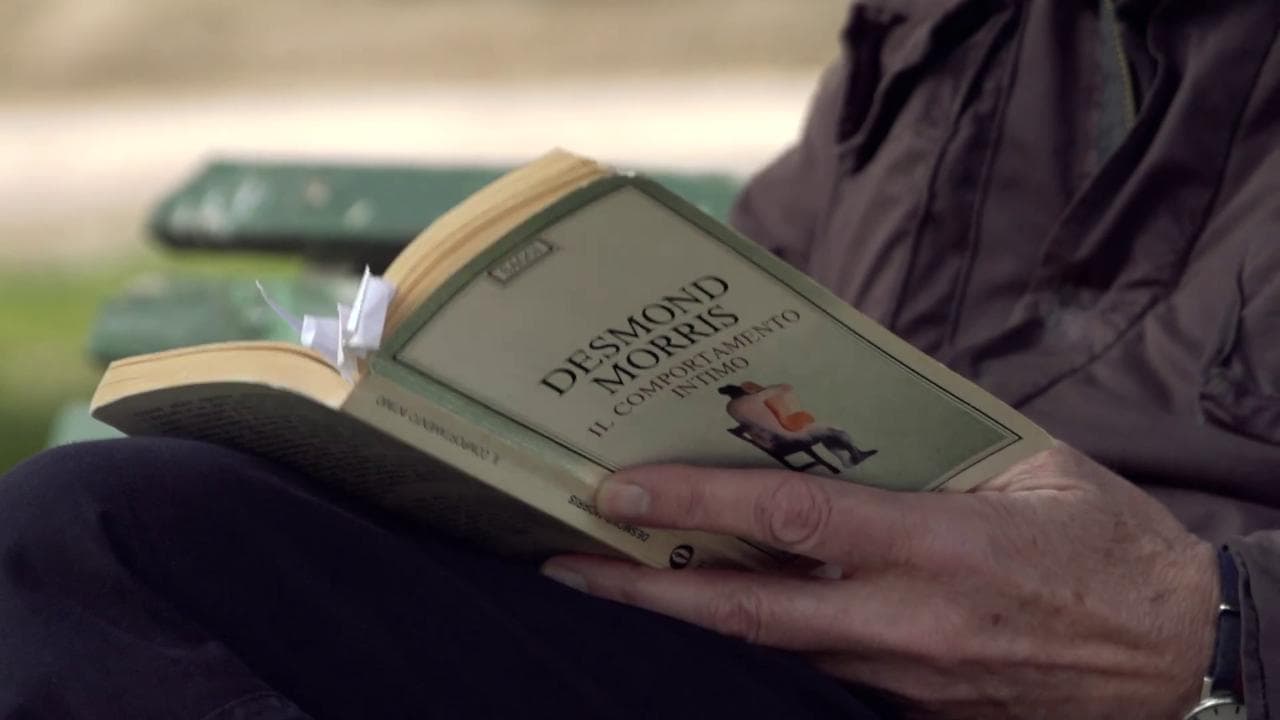 "Il comportamento intimo": cosa attivano i gesti secondo Demos Morris