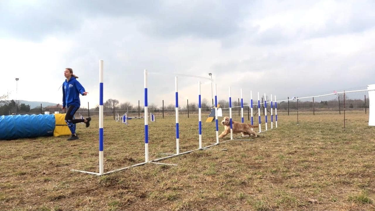 Campionessa col mio cane, l'intesa è uno sport