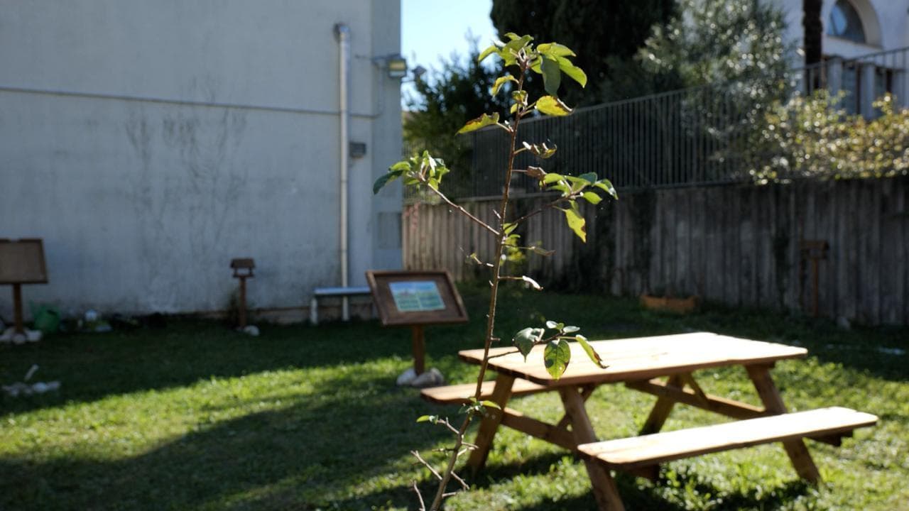 L'oasi del Wwf nel cortile della scuola