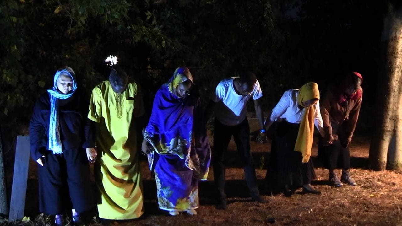Nei parchi va in scena il teatro dell'Africa