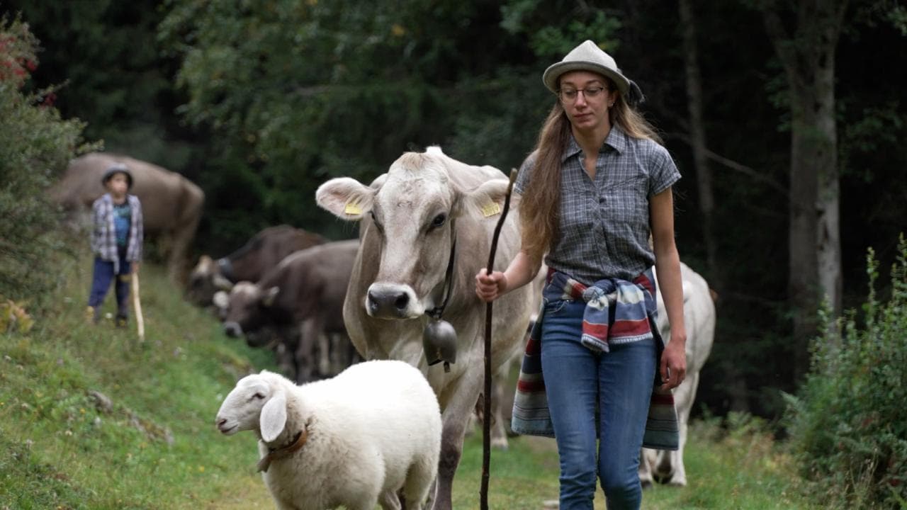 Il mio lavoretto estivo? In malga a fare il pastore