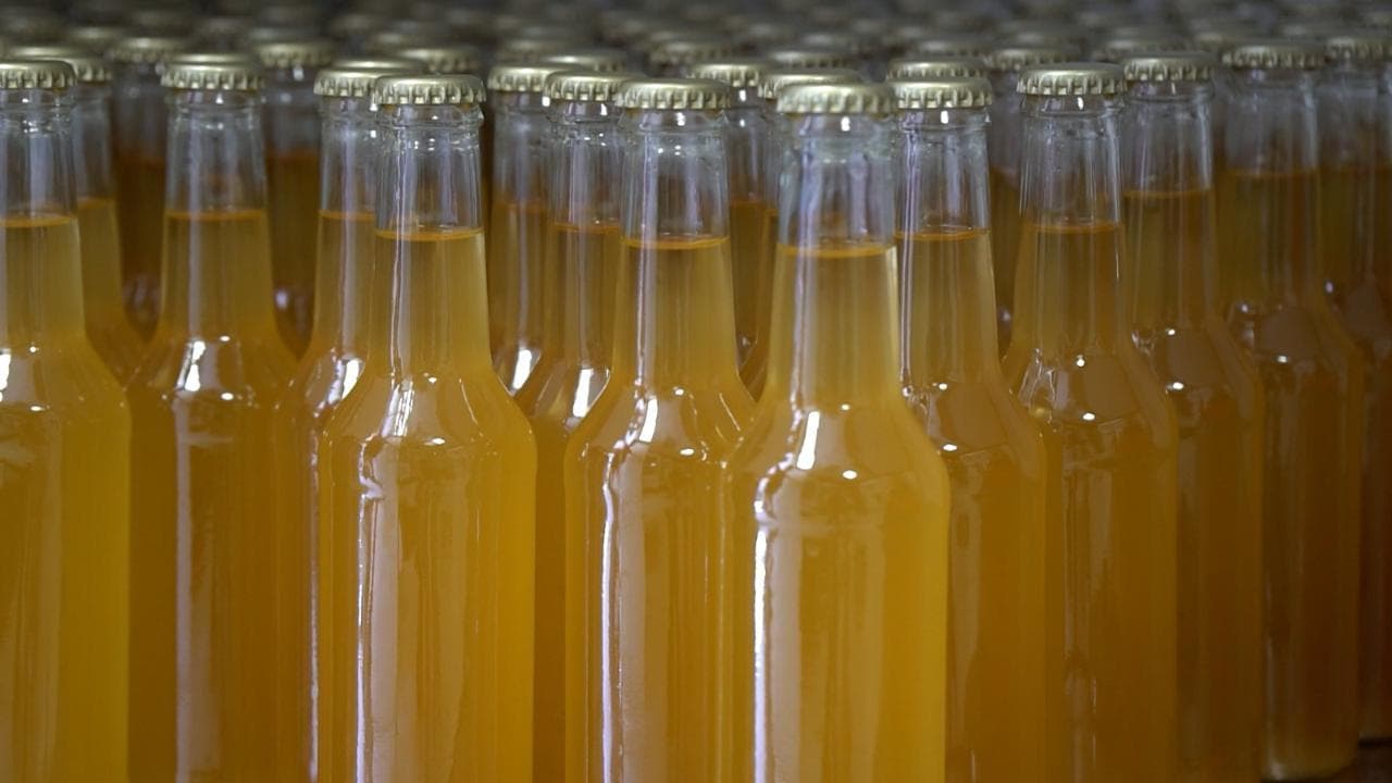 La kombucha millenaria ora è bevanda di tendenza