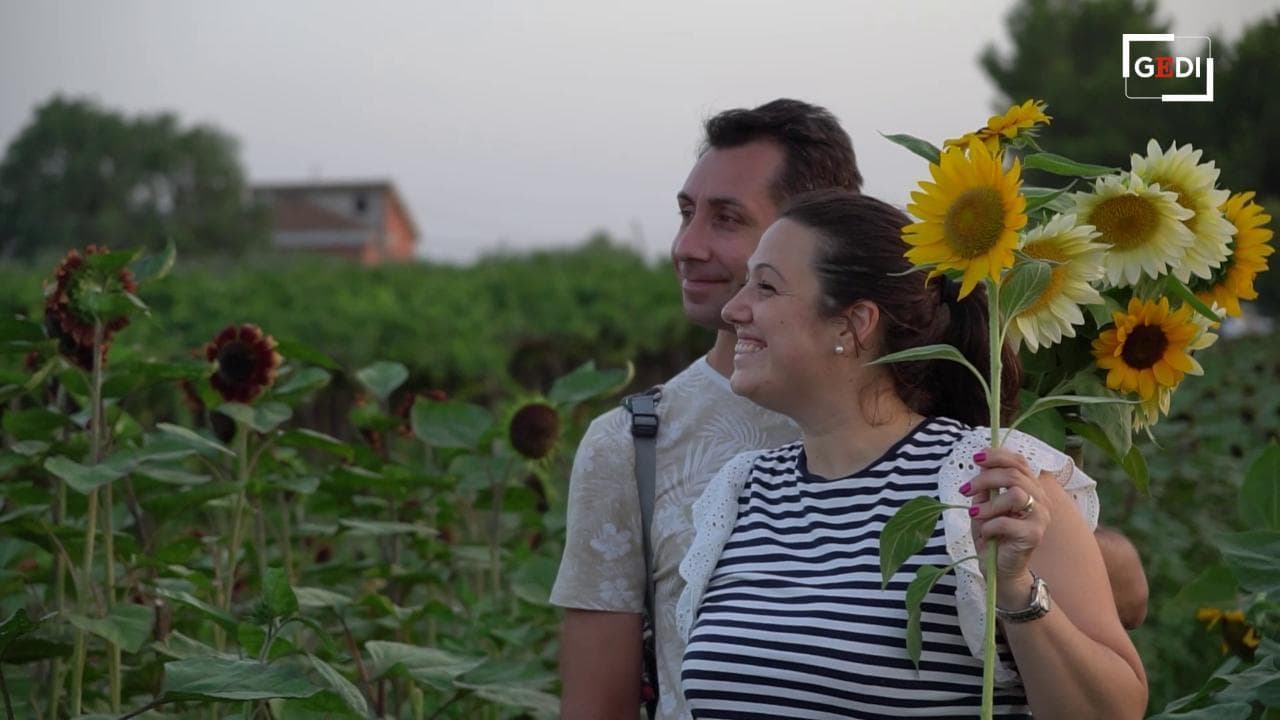 Il campo di girasoli dove si coltivano sorrisi