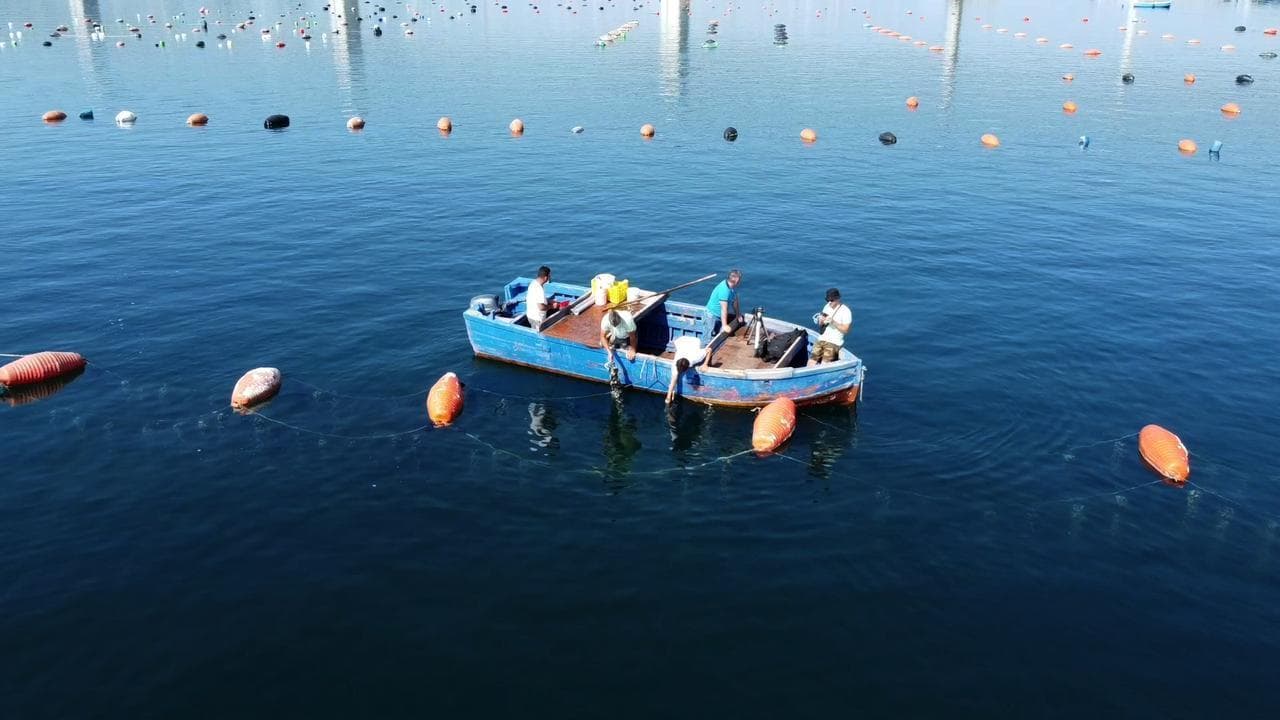 L'oasi nel mare di Taranto delle cozze etiche e green