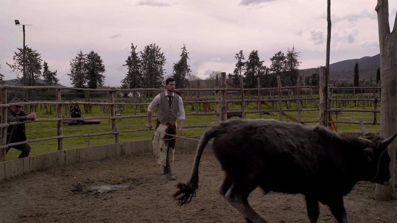 I cowboy della Maremma, viaggio tra i nuovi butteri