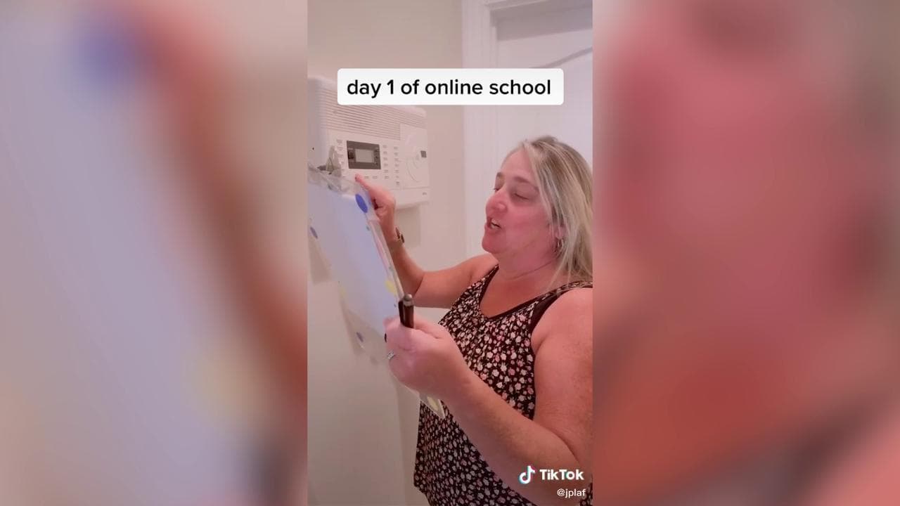 Usa, la scuola è online: gli annunci della mamma-preside diventano virali