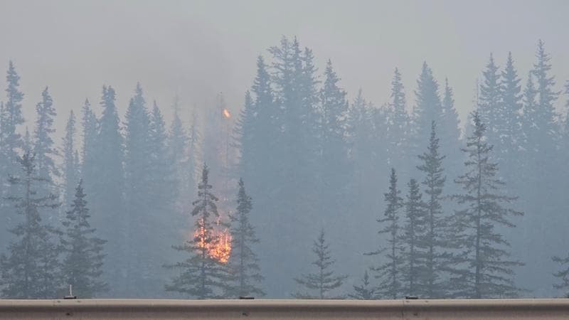 Le fiamme nel parco nazionale