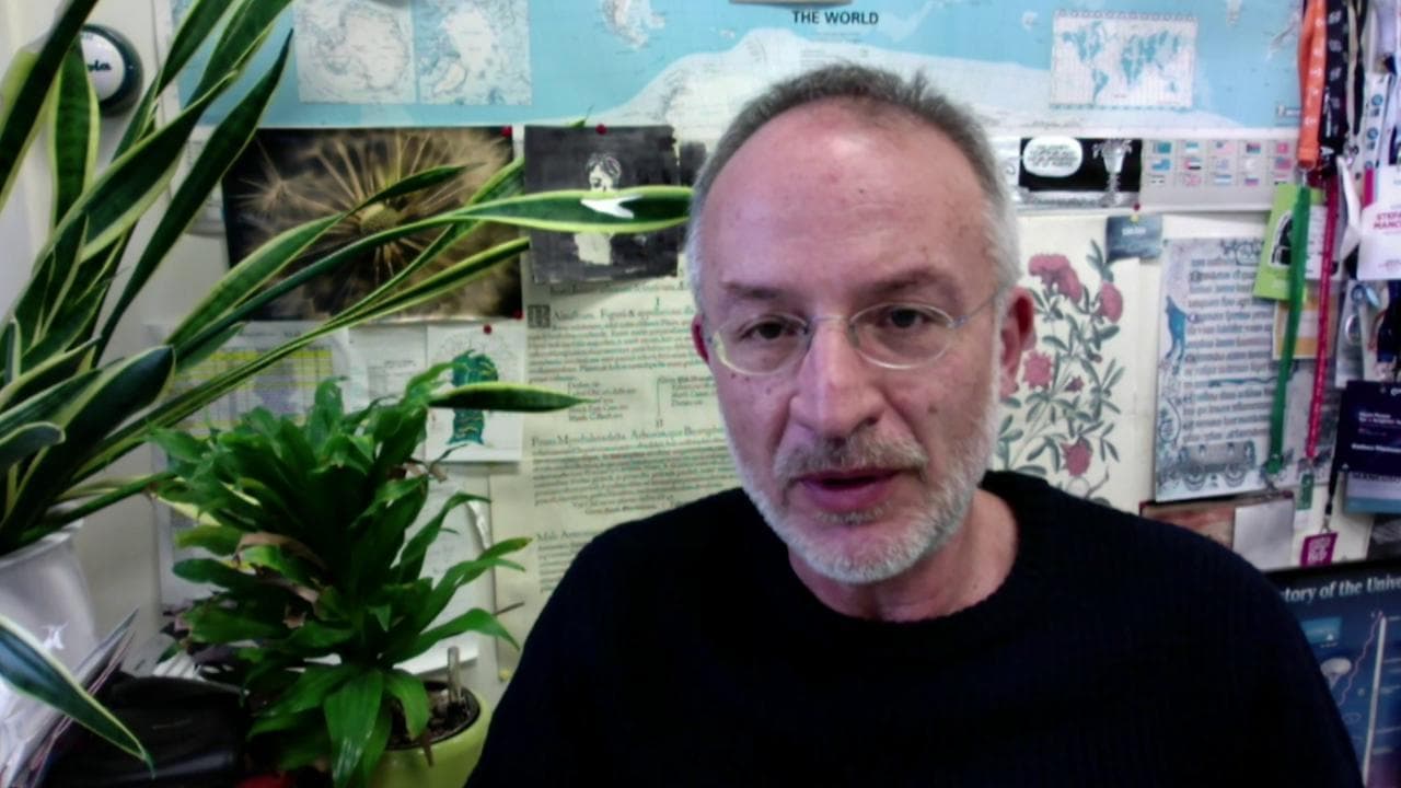 Stefano Mancuso: "Iniziamo a piantare mille miliardi di alberi"