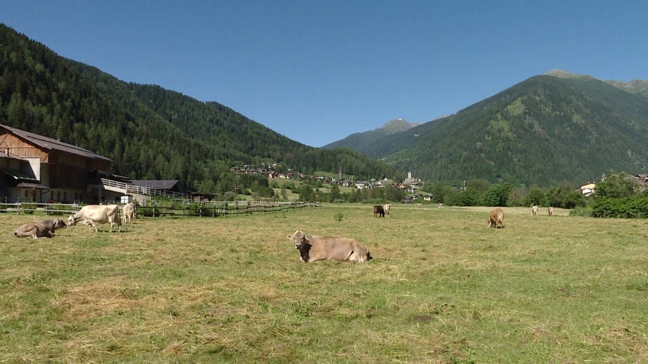 Ossana, le immagini del borgo premiato per le sue iniziative "green"