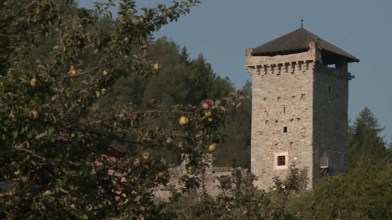 Ossana, natura e percorsi sensoriali nell'oasi di Bosco Derniga