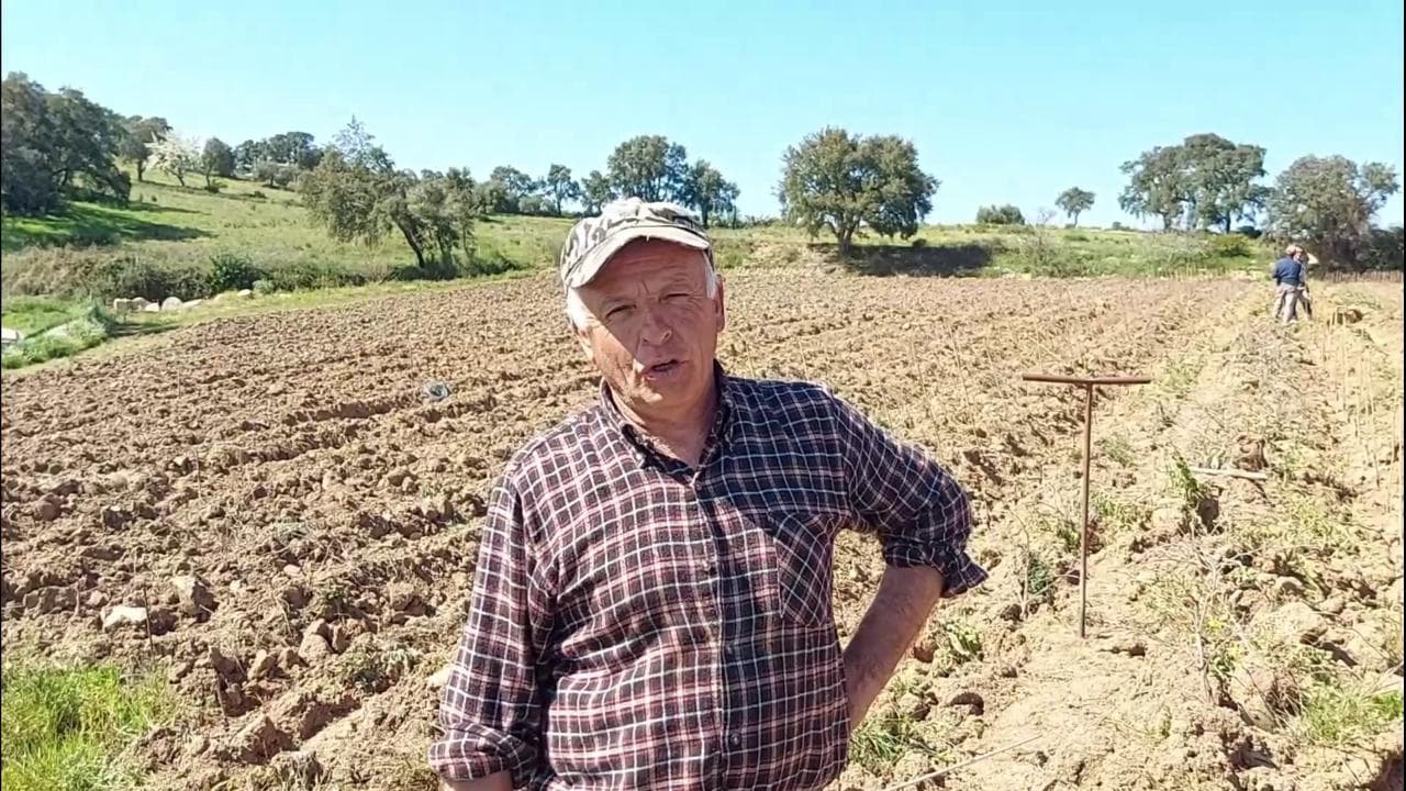 Cannonau, Monica e Moristello: i vitigni di Ortueri spiegati dal viticoltore