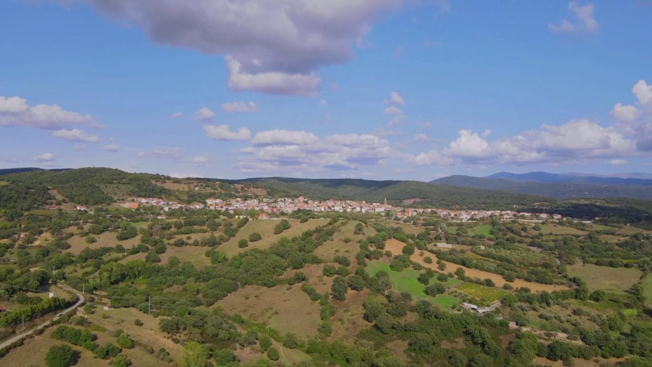 Ortueri, in volo sulla Barbagia del Mandrolisai: vigneti e foreste di sughere e lecci ripresi dal drone