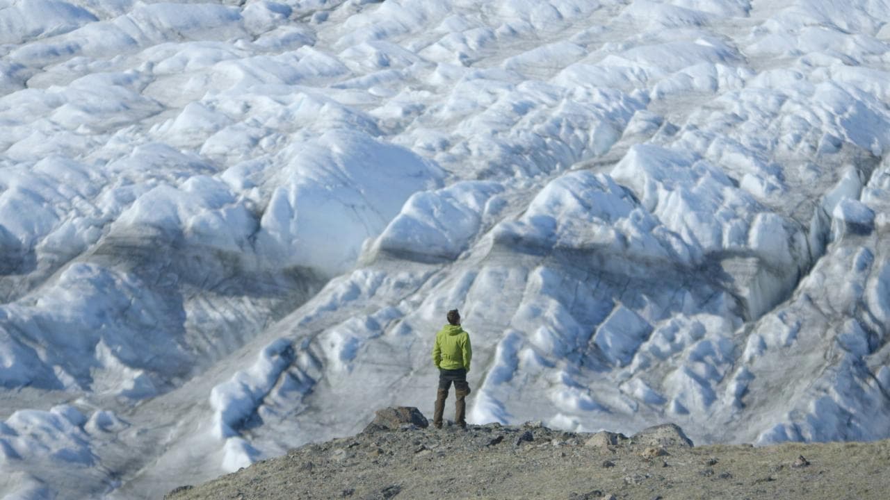 Clima, Joseph Cook: la Groenlandia cambia colore