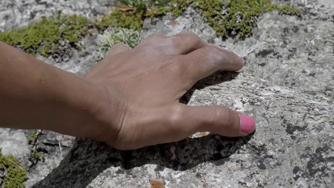 'Climbing Iran', smalto rosa e tenacia per arrampicarsi verso la libertà - trailer in anteprima