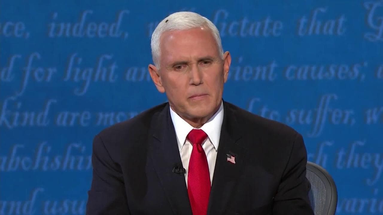 Usa 2020, dibattito tra i vice: c'è una mosca sui capelli di Pence. Social scatenati