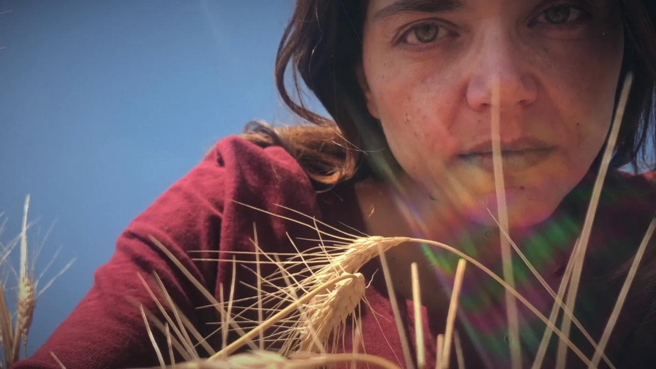 Venezia 77. Elisa Fuksas con 'iSola': "Mentre lo giravo non avevo idea di fare un film"