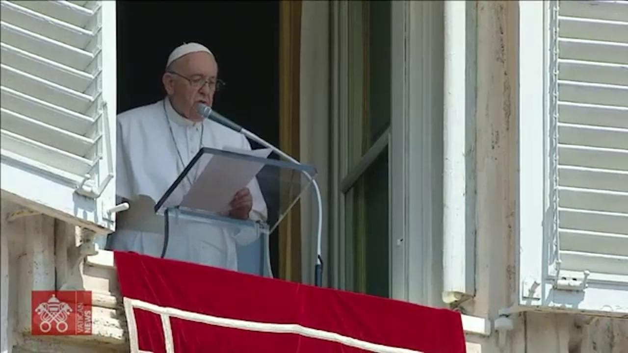 Il Papa: "Navi in partenza da Ucraina dimostrano che il dialogo e la pace sono possibili"