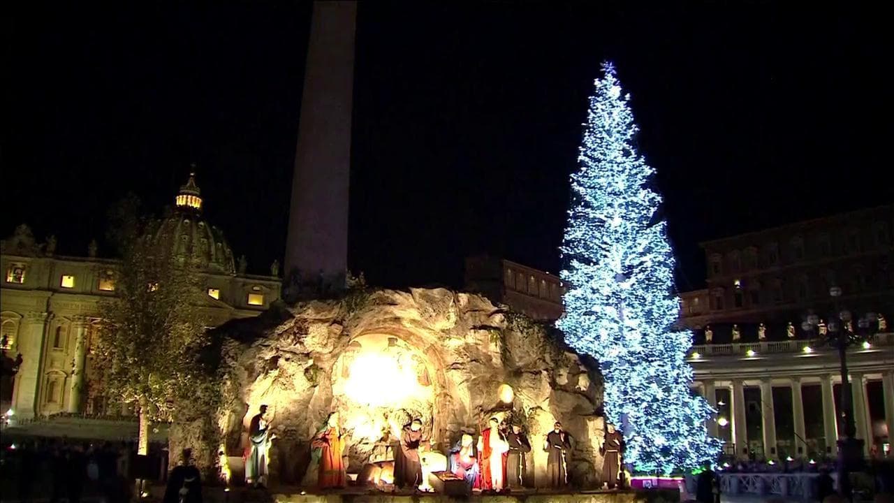 Vaticano, l'accensione dell'Albero di Natale: è altro alto quasi 30 metri e arriva dal Piemonte