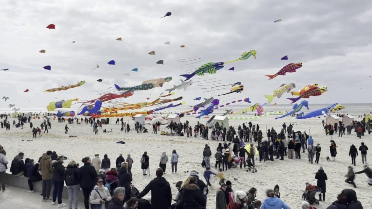Francia, le forme fantasiose degli aquiloni al festival internazionale di Berck