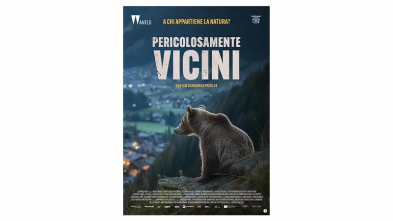 Io che li ho visto gli orsi da vicino vi dico come conviverci