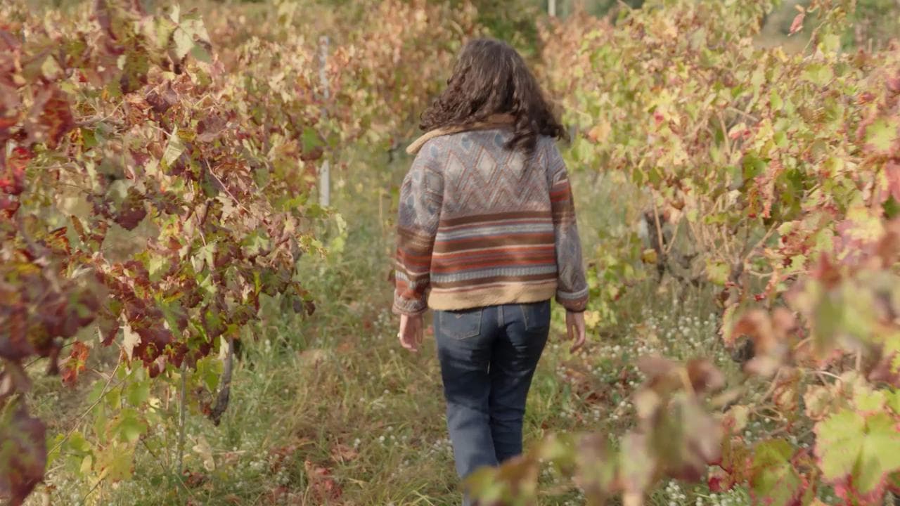 5. Le vigne del vulcano: i segreti del vino dell'Etna