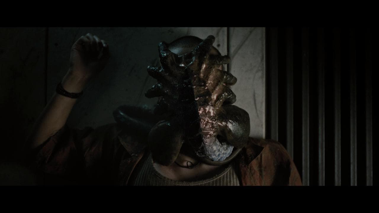'Alien: Romulus', lo spazio profondo fa ancora più paura. Il trailer