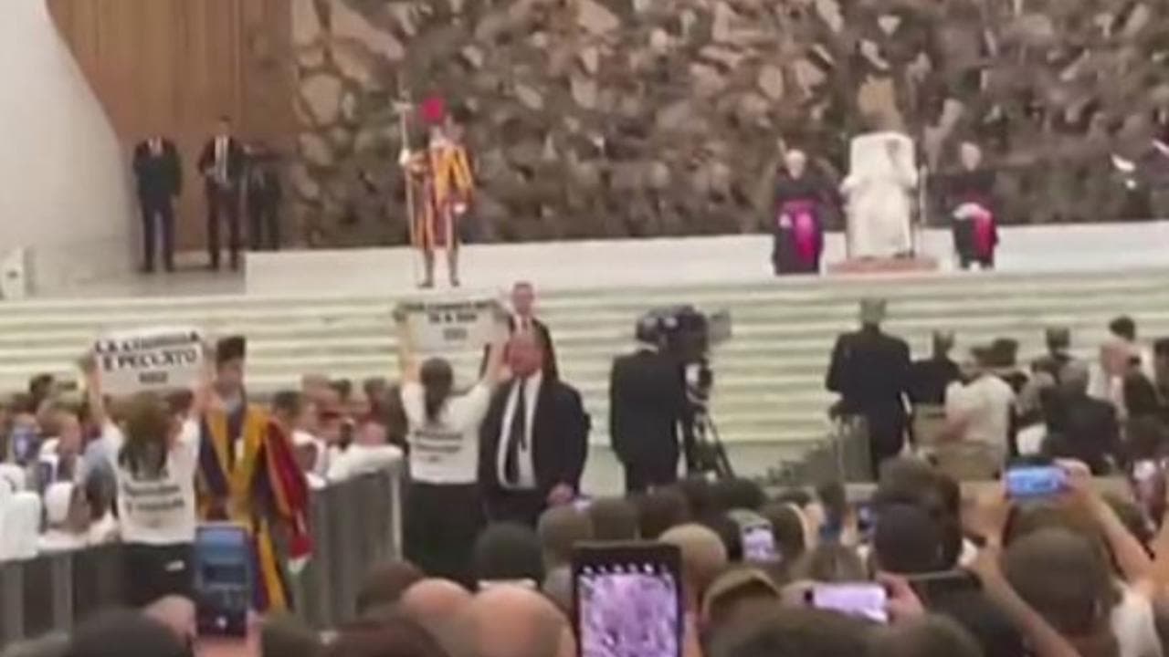 Vaticano, militanti animalisti interrompono l'udienza del Papa protestando contro la corrida