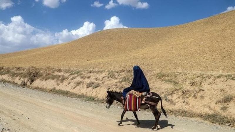 OMER ABRAR / AFP